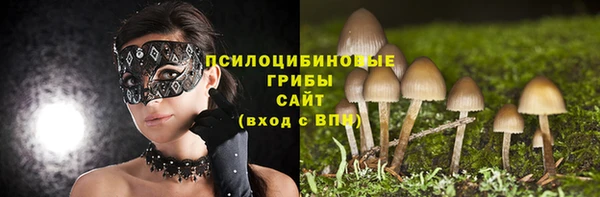 соль курить ск Вяземский